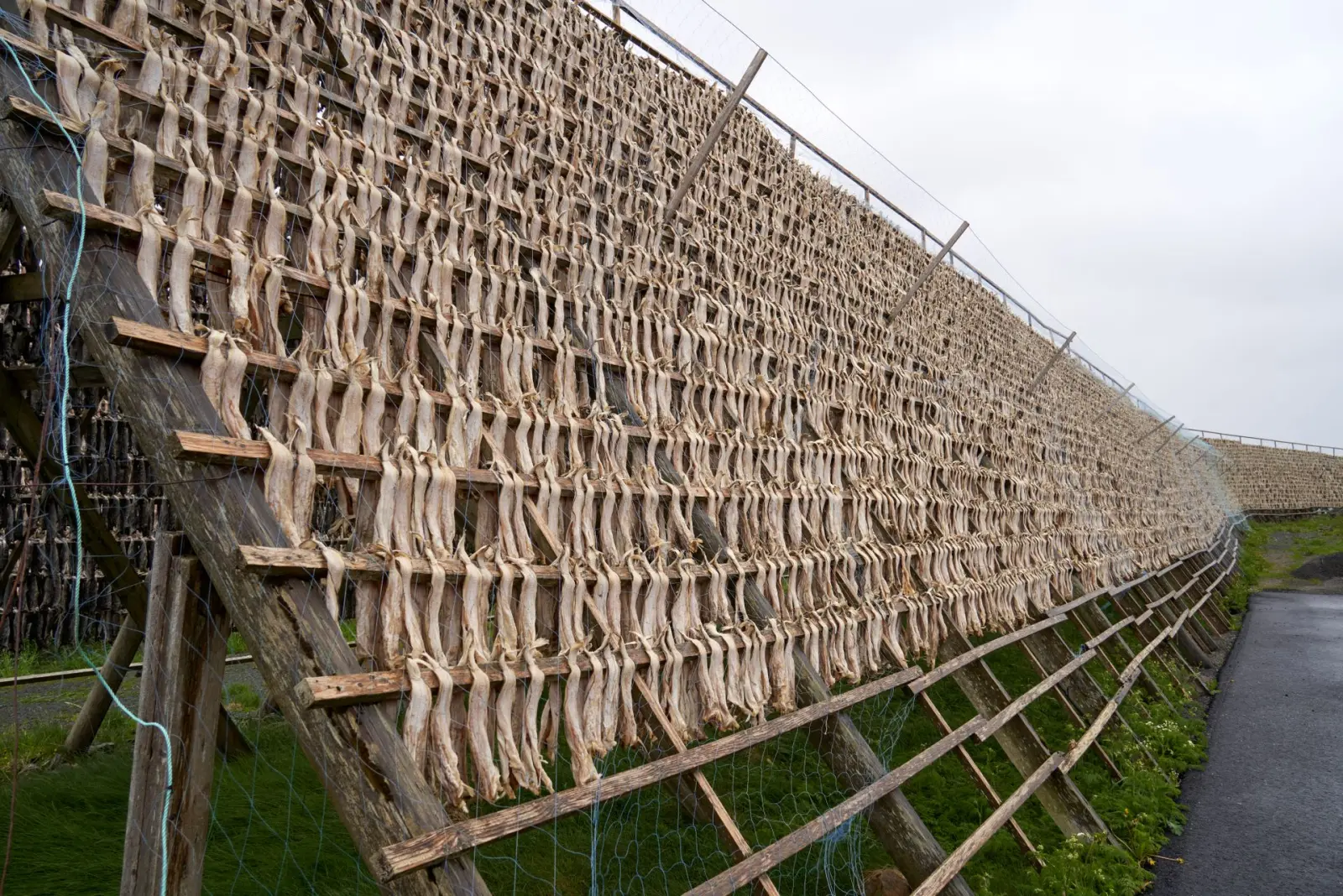 Ancona-style stockfish
